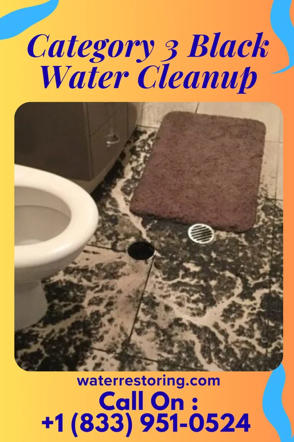 Category 3 Black Water Cleanup in Brady, NE