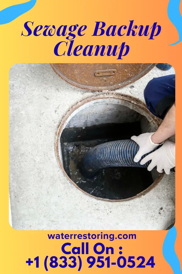 Sewage Backup Cleanup in Brady, NE
