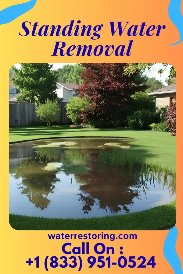 Standing Water Removal in Brady, NE